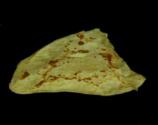 Indian Paratha